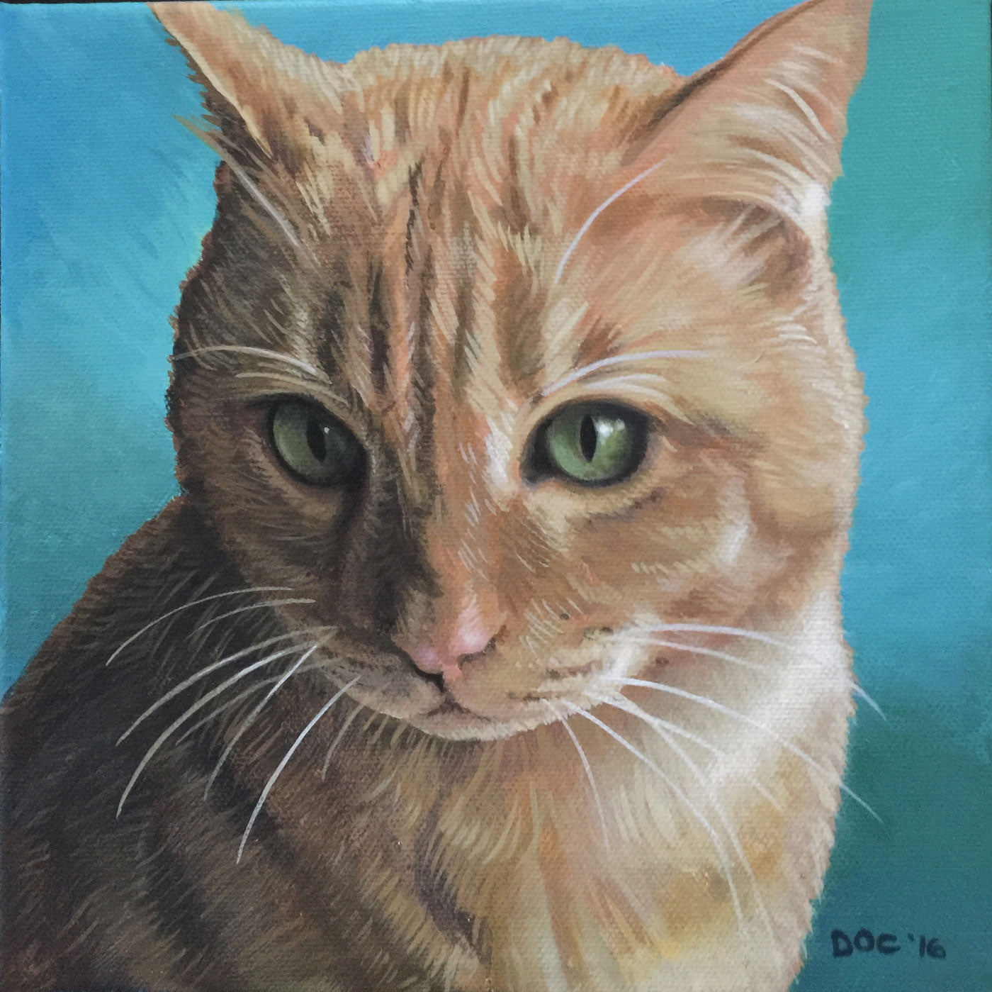 The Not-So-Sexy Side of Rescue? Still Inspirational