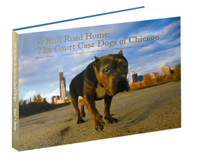 A Ruff Road Home: The Court Case Dogs of Chicago